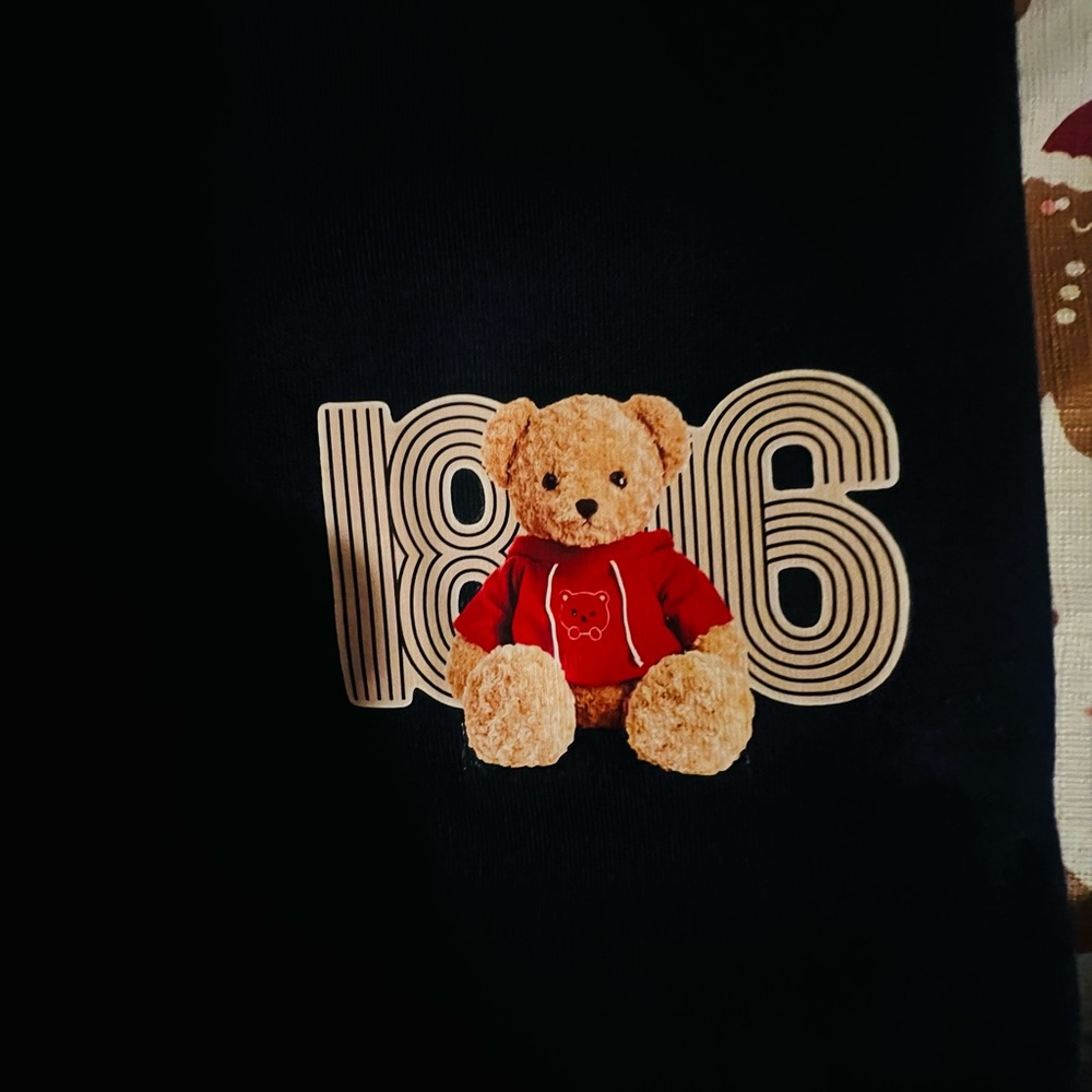 Nwt Navy Joggers With Bear Patch - image 3